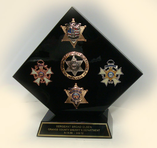 Shape Series shows hundreds of badge embedments in lucite